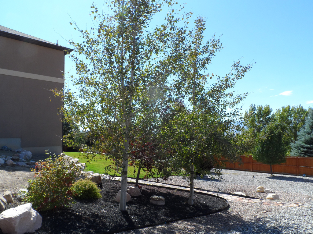 2517 N 2050 E North Logan, UT 84341