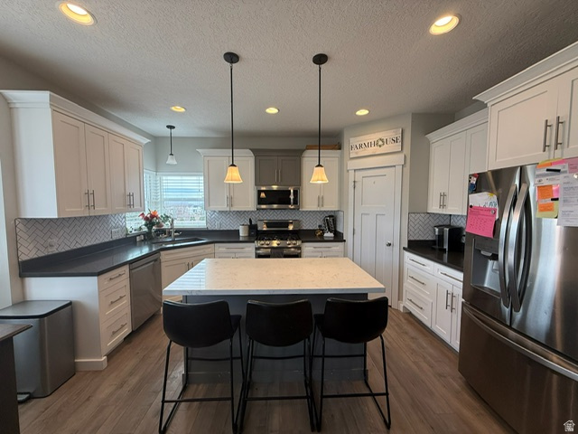 9888 N ELKHORN RD Eagle Mountain, UT 84005