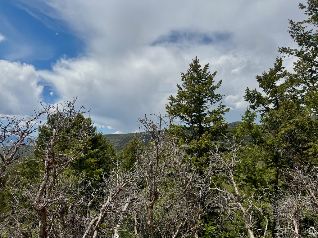 9395 E RIDGE PINE RD Heber City, UT 84032