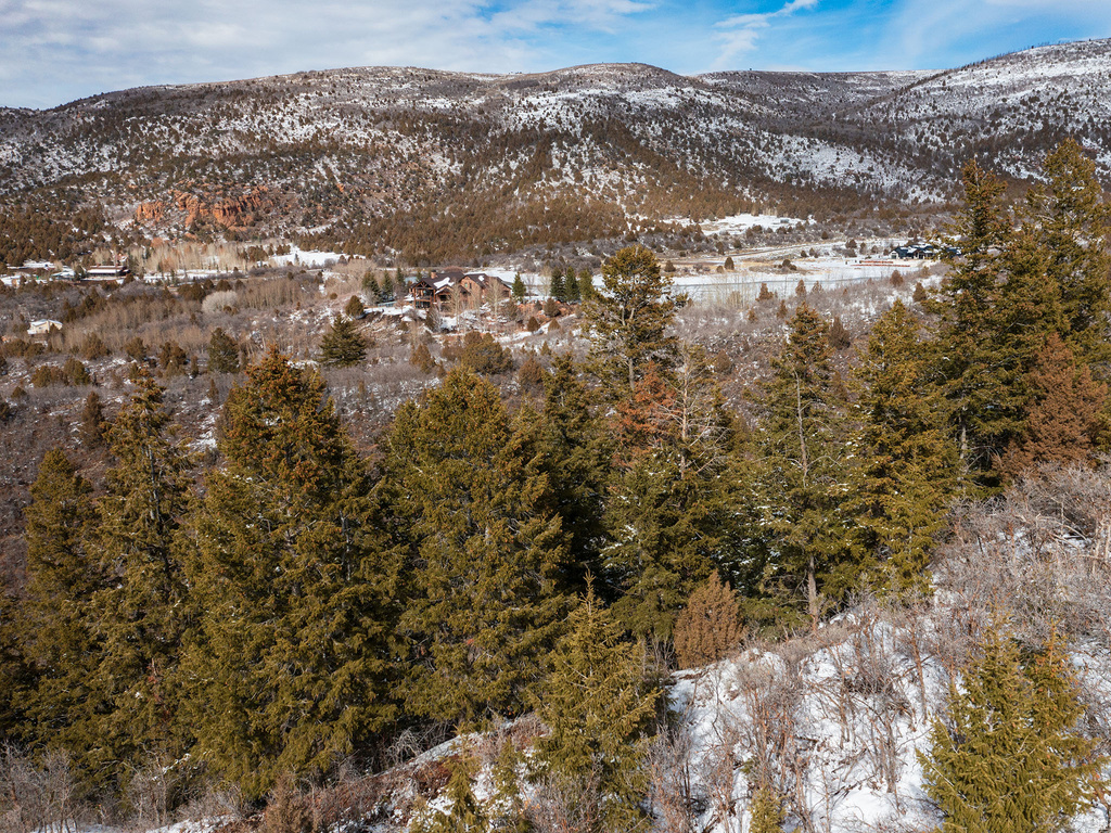 9395 E RIDGE PINE RD Heber City, UT 84032