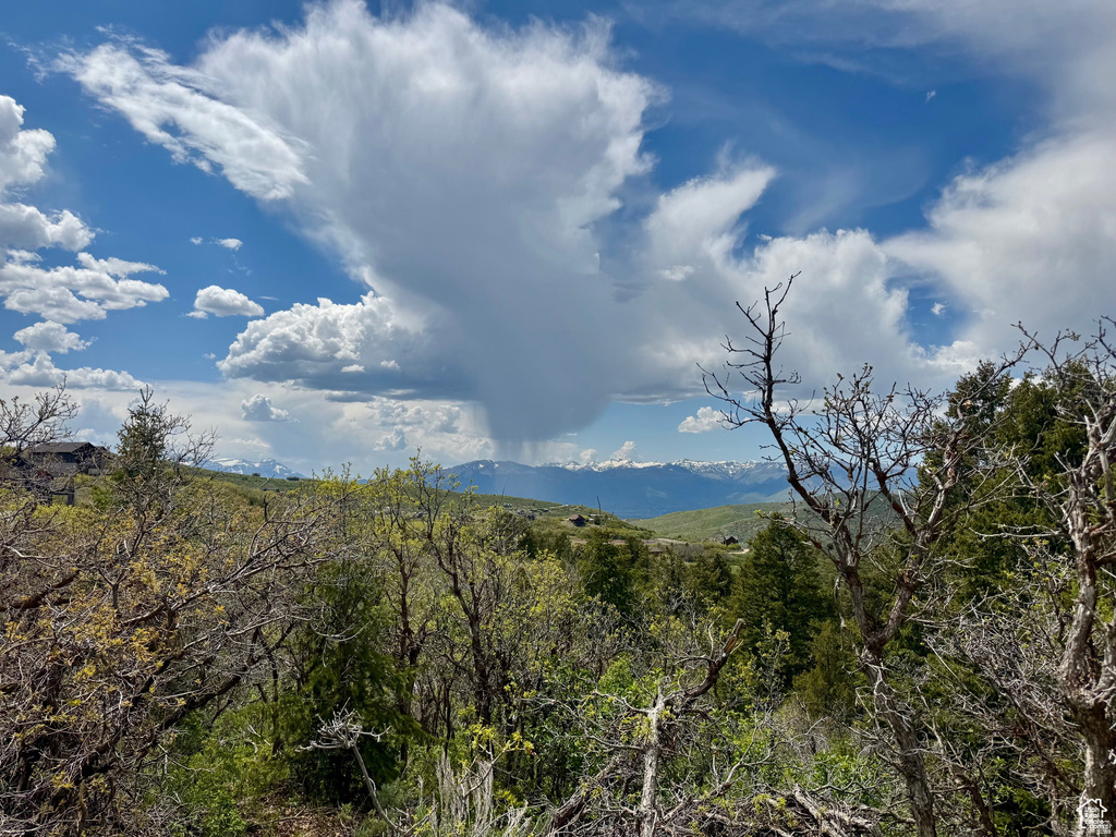 9395 E RIDGE PINE RD Heber City, UT 84032