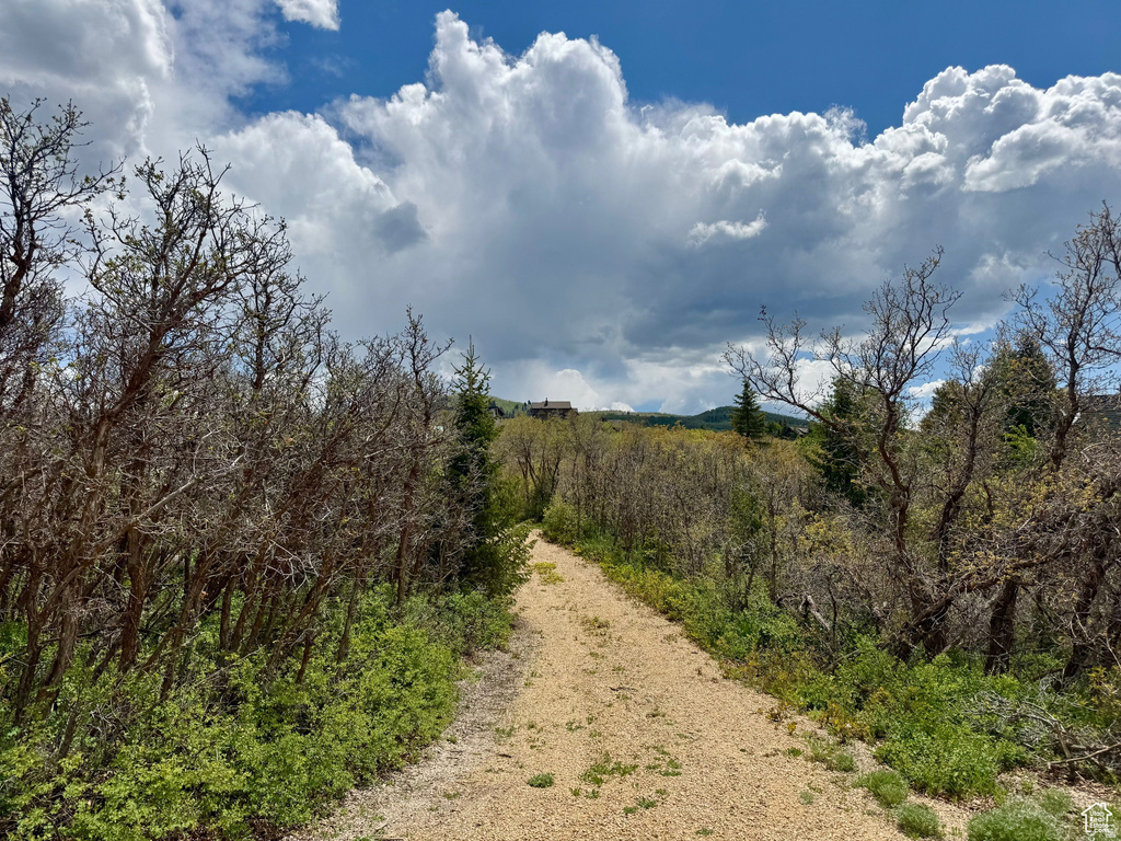 9395 E RIDGE PINE RD Heber City, UT 84032