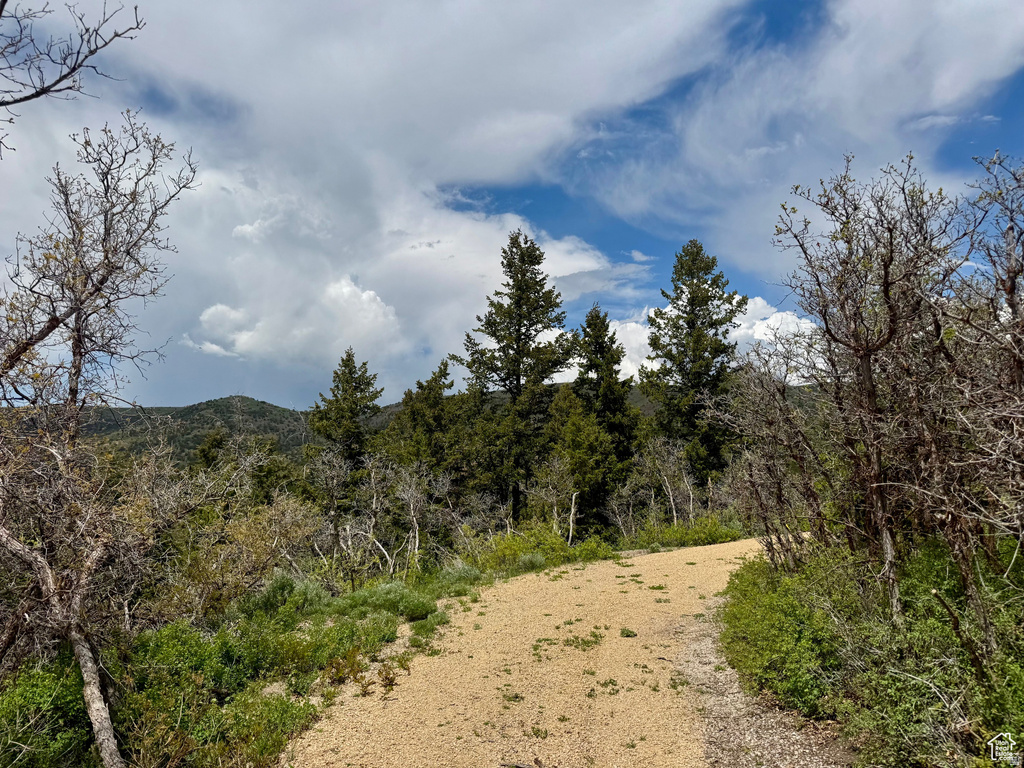 9395 E RIDGE PINE RD Heber City, UT 84032