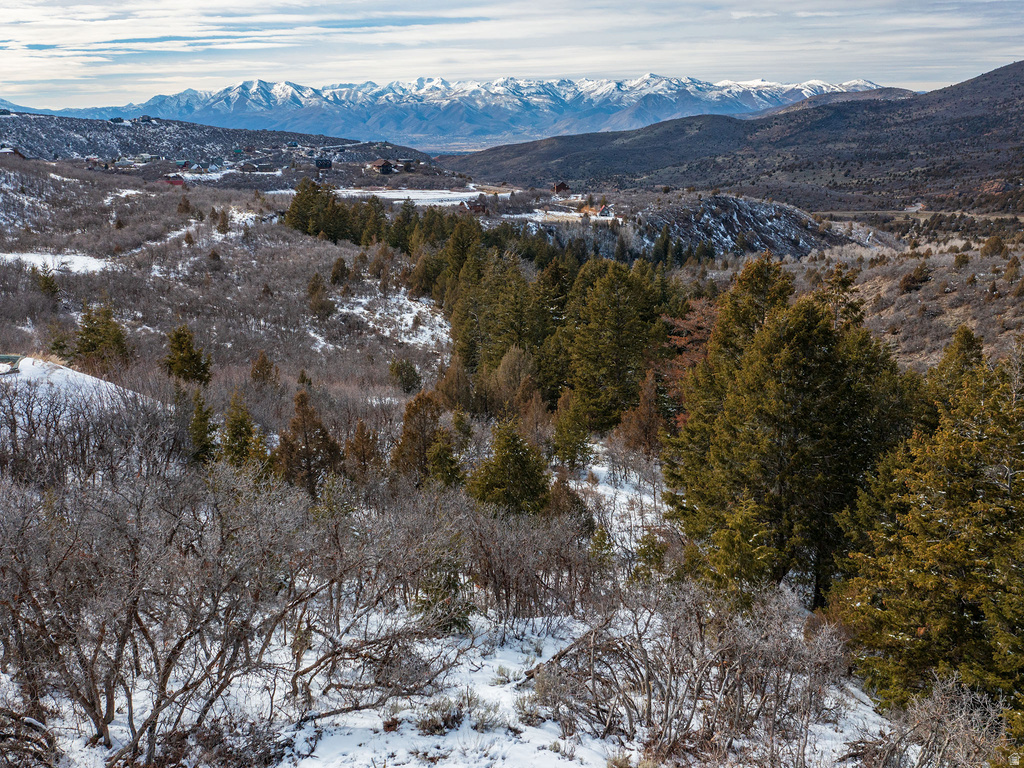 9395 E RIDGE PINE RD Heber City, UT 84032