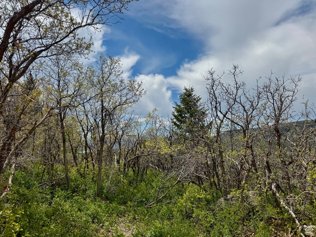 9395 E RIDGE PINE RD Heber City, UT 84032