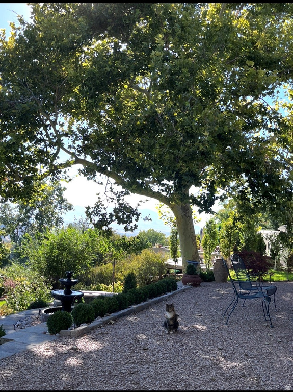 786 E ELEVENTH AVE Salt Lake City, UT 84103