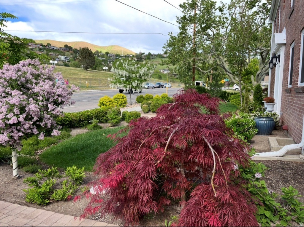 786 E ELEVENTH AVE Salt Lake City, UT 84103