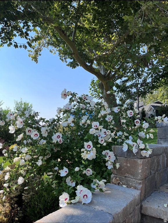 786 E ELEVENTH AVE Salt Lake City, UT 84103