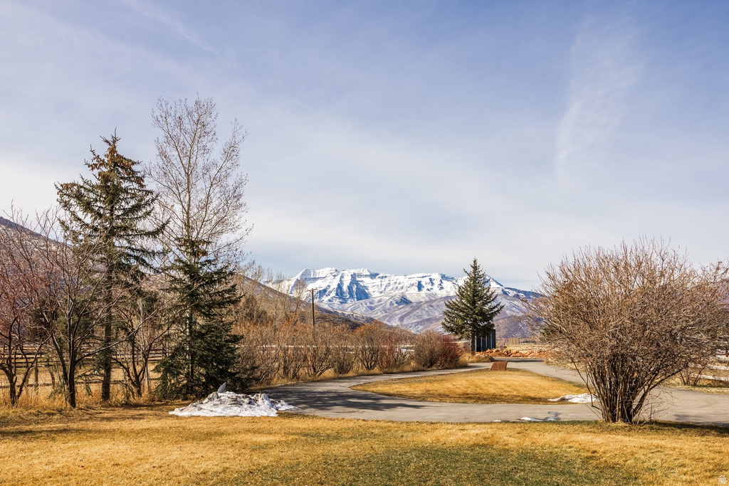 3193 S SOUTHFIELD RD Daniel, UT 84032