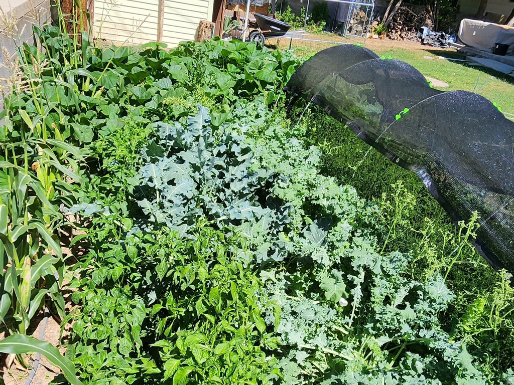 574 W HARDING AVE Cedar City, UT 84720