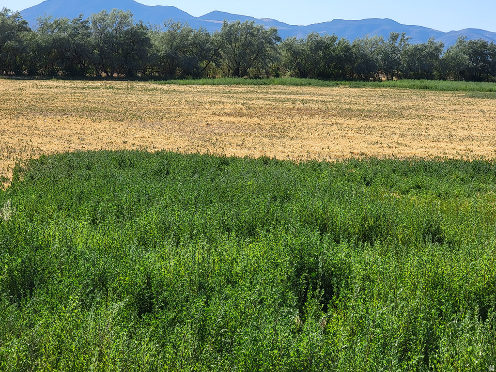 14900 S 11130 W Goshen, UT 84633