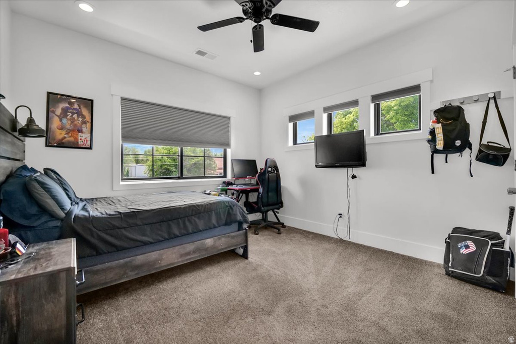 266 S 300 W Mt Pleasant, UT 84647