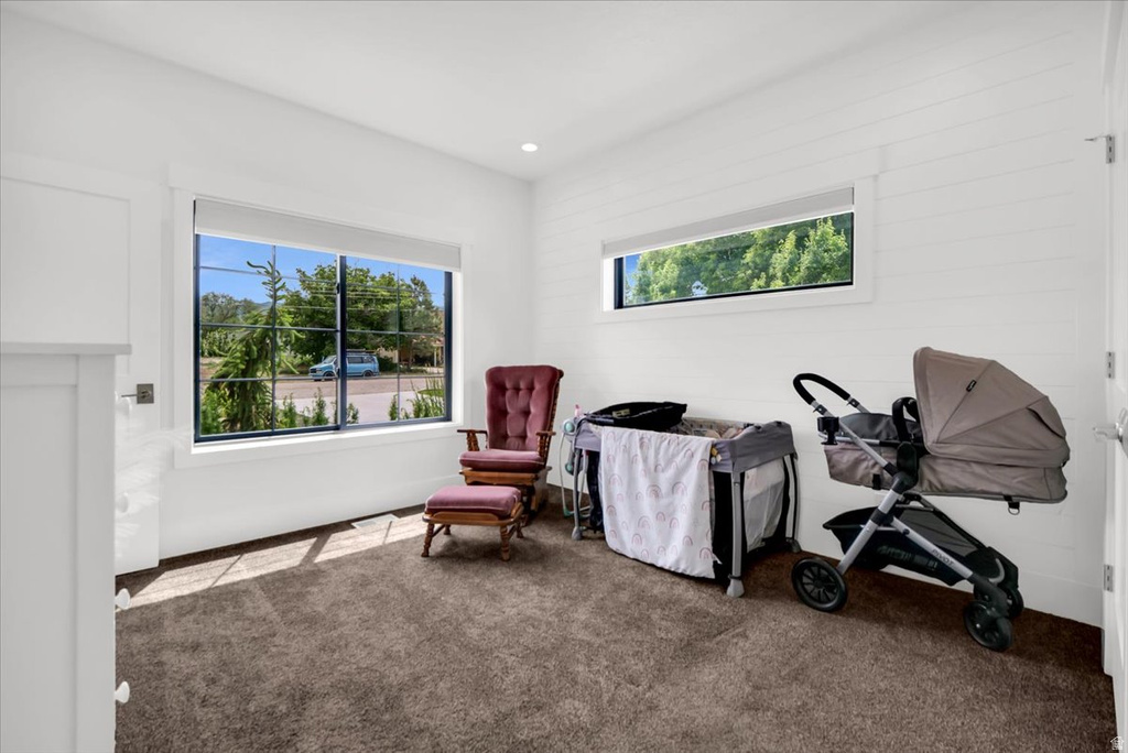 266 S 300 W Mt Pleasant, UT 84647