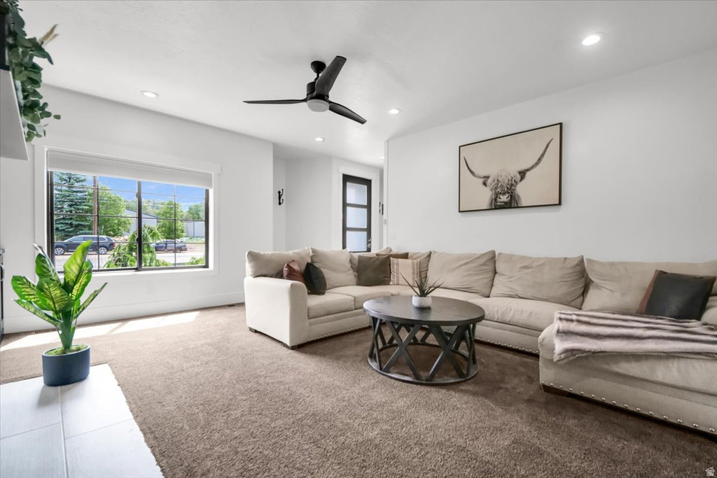 266 S 300 W Mt Pleasant, UT 84647