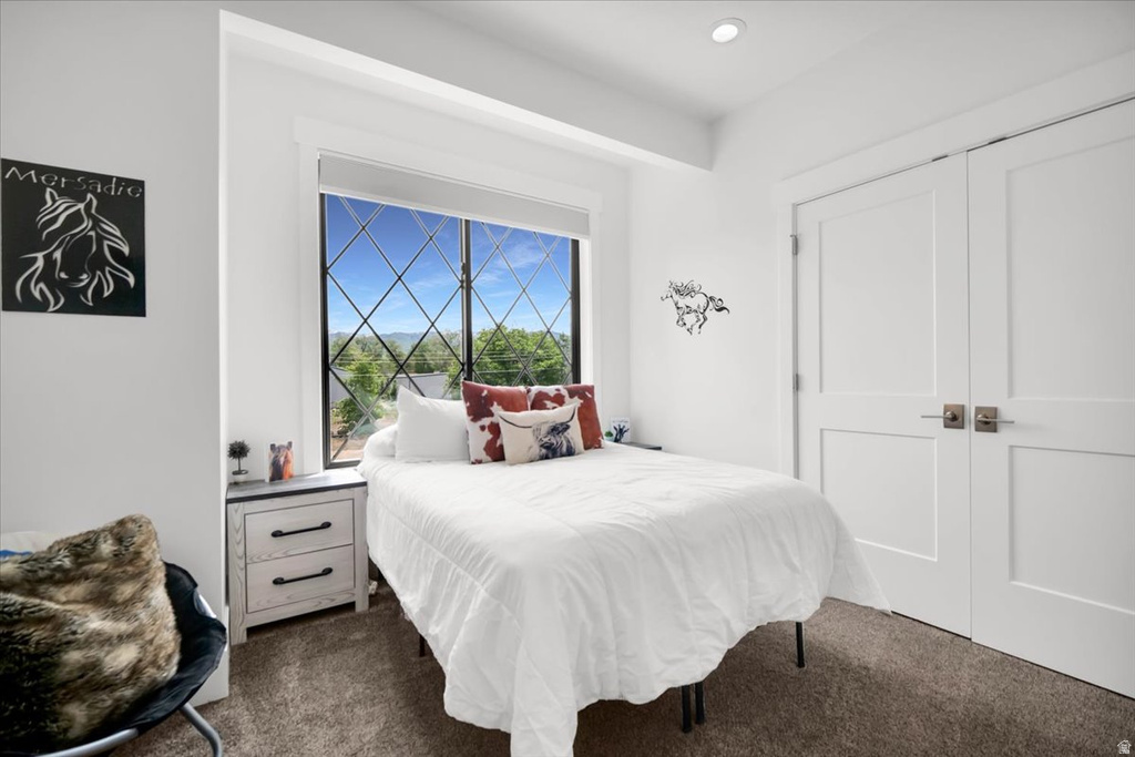 266 S 300 W Mt Pleasant, UT 84647