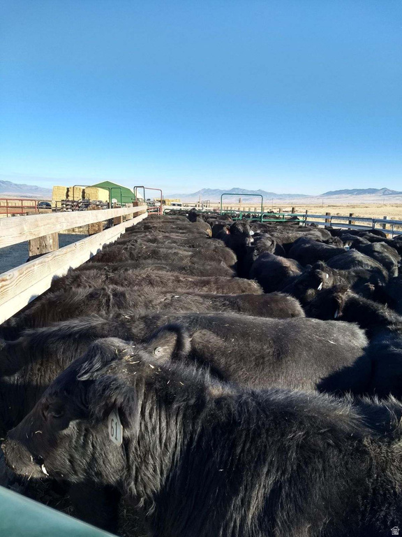 S OLD MALAD HWY Downey, ID 83234