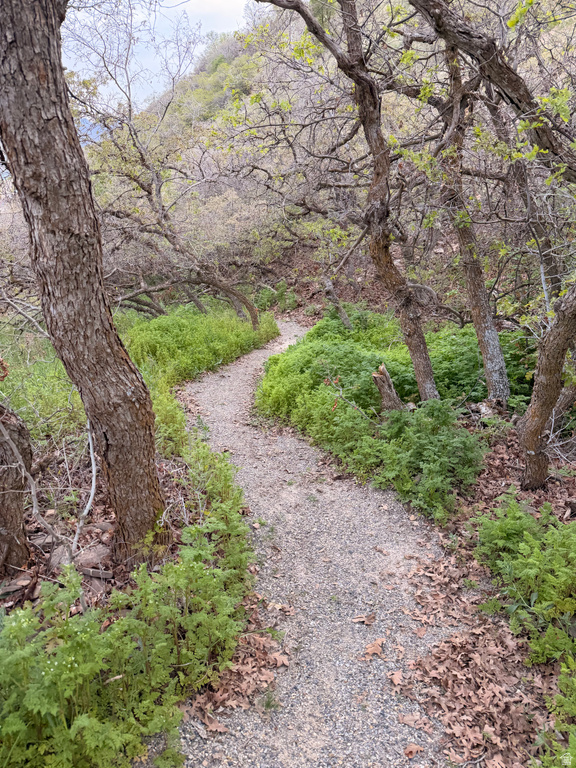 3626 S RIVERSTONE RD Mapleton, UT 84664