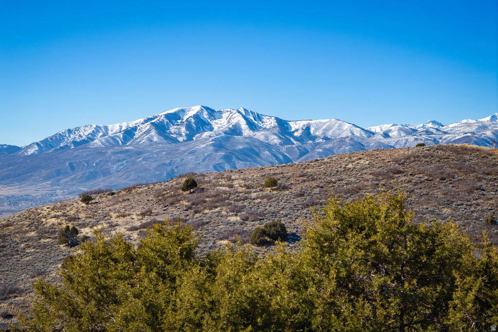 2314 E LA SAL PEAK DR Heber City, UT 84032