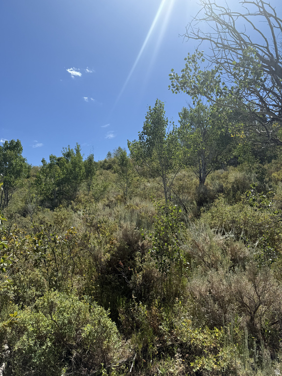 3457 S PANORAMA DR Garden City, UT 84028