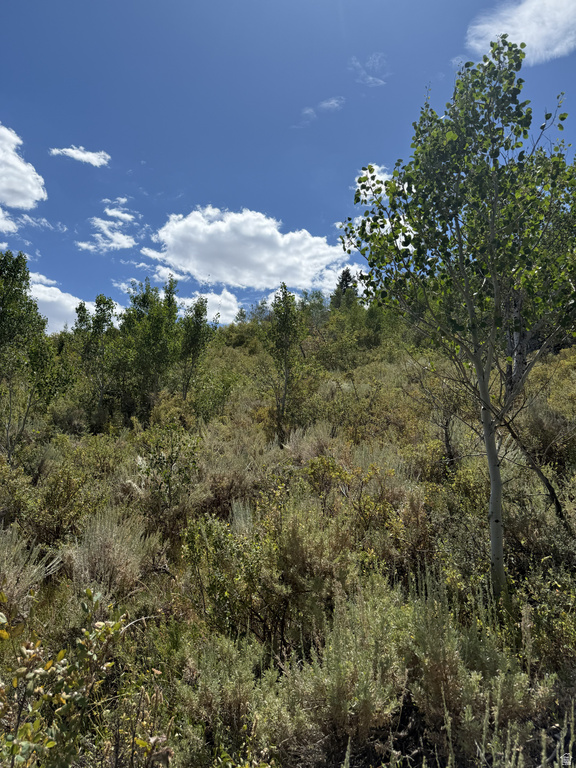 3457 S PANORAMA DR Garden City, UT 84028