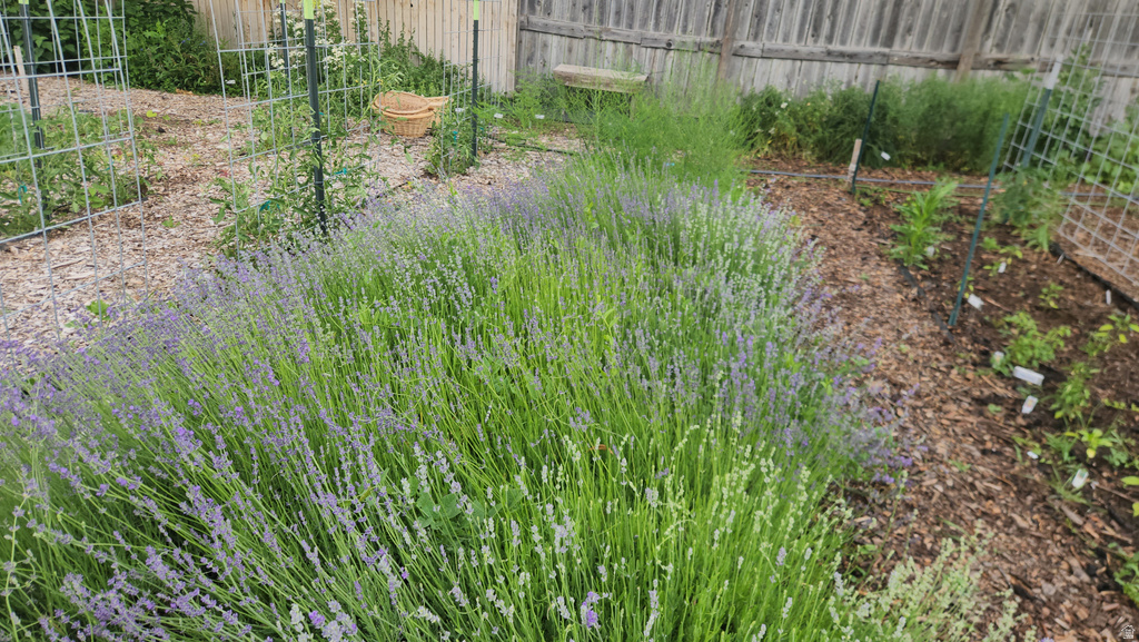 166 S 2ND Preston, ID 83263