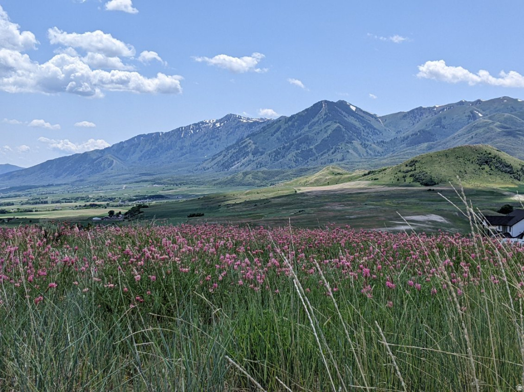 2700 N VALLEY VW Petersboro, UT 84325