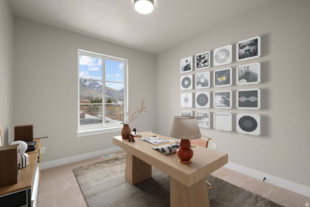 1407 N 750 W Pleasant Grove, UT 84062