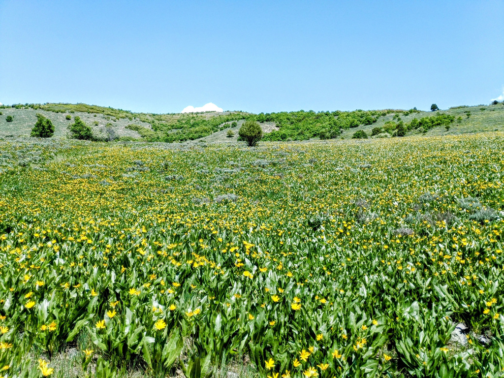 4500 N SEVEN BRIDGES RD Eden, UT 84310