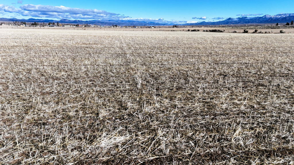 123 E TBD HENRIE RD Panguitch, UT 84759