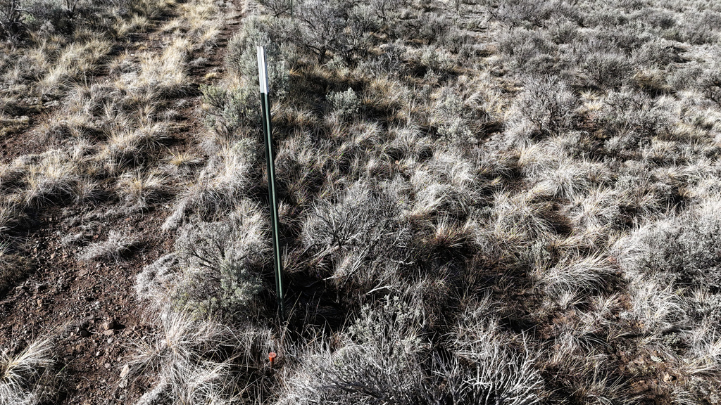 123 E TBD HENRIE RD Panguitch, UT 84759