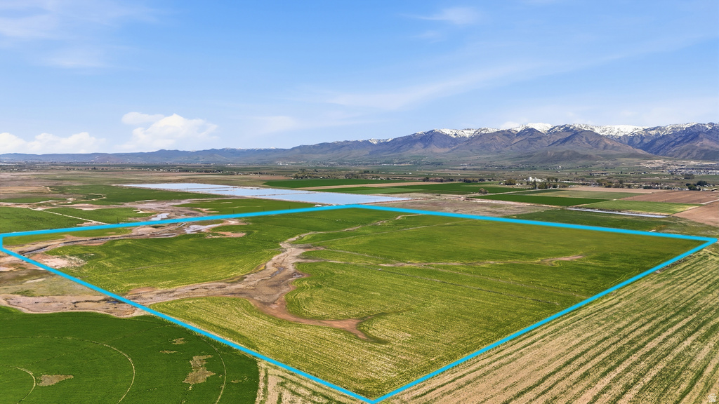 Expansive agricultural land featuring verdant fields with visible crop rows, surrounded by additional cultivated areas