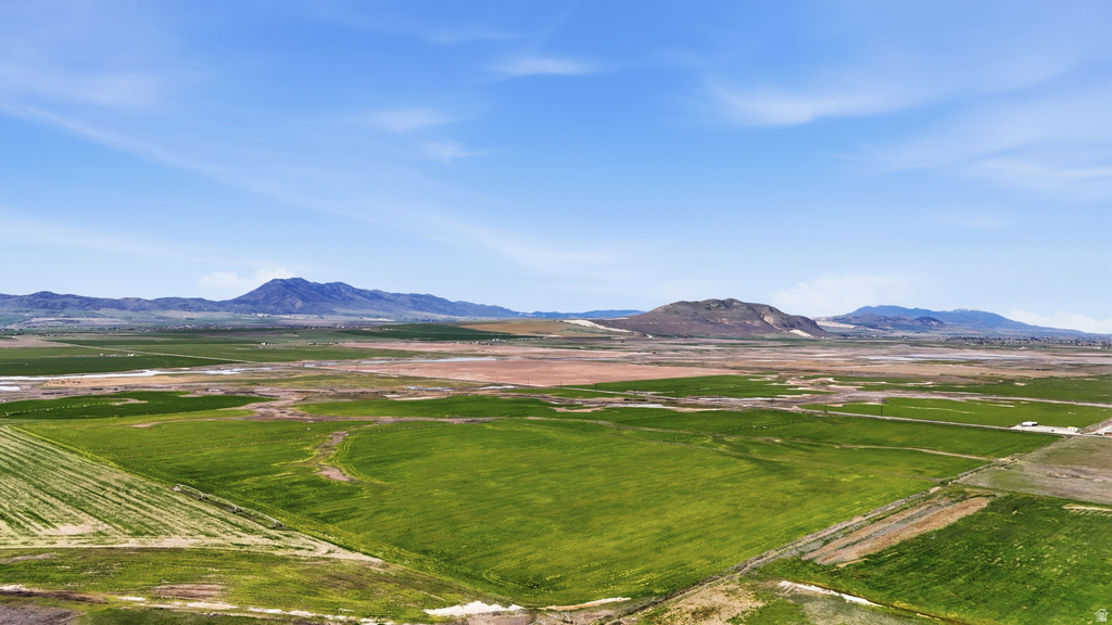 Expansive agricultural land featuring a mix of cultivated green fields and fallow ground