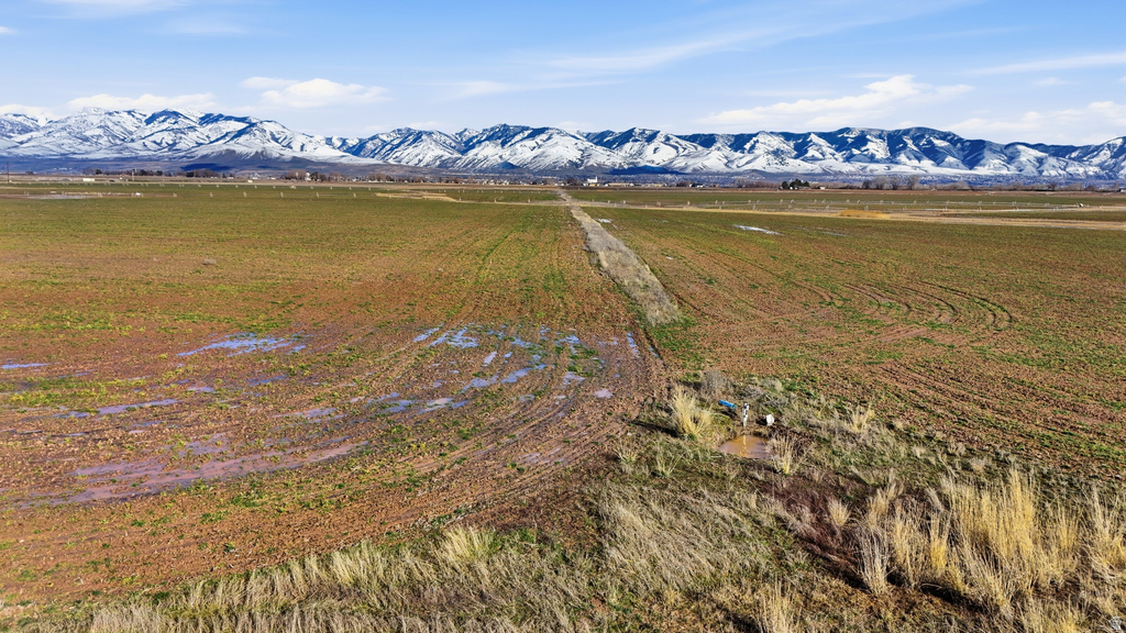 3000 W 6200 N Amalga, UT 84335