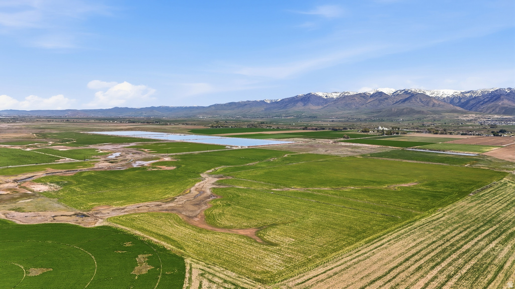Expansive agricultural landscape featuring green fields, a body of water, and distant snow-capped mountains