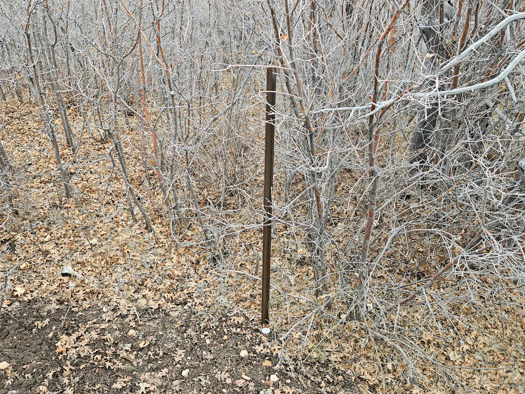 46 W LIGHTFOOT REAIL Indianola, UT 84629