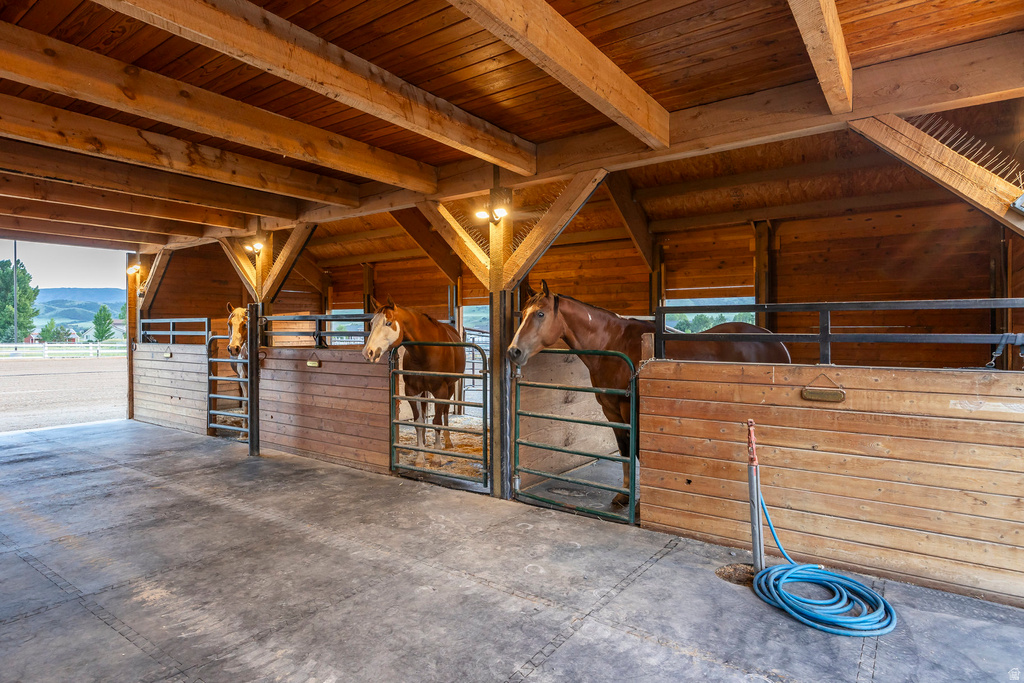 248 E 9300 S Paradise, UT 84328