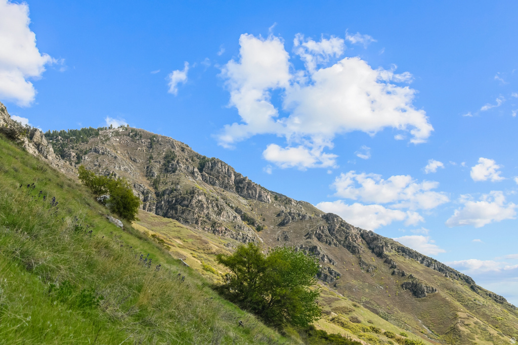 1392 N 1500 E Provo, UT 84604