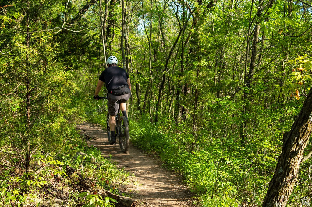 9133 ELDERBERRY LN Provo Canyon, UT 84604