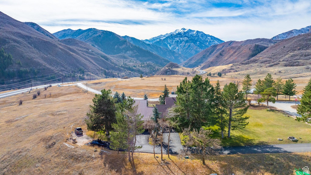 9133 ELDERBERRY LN Provo Canyon, UT 84604