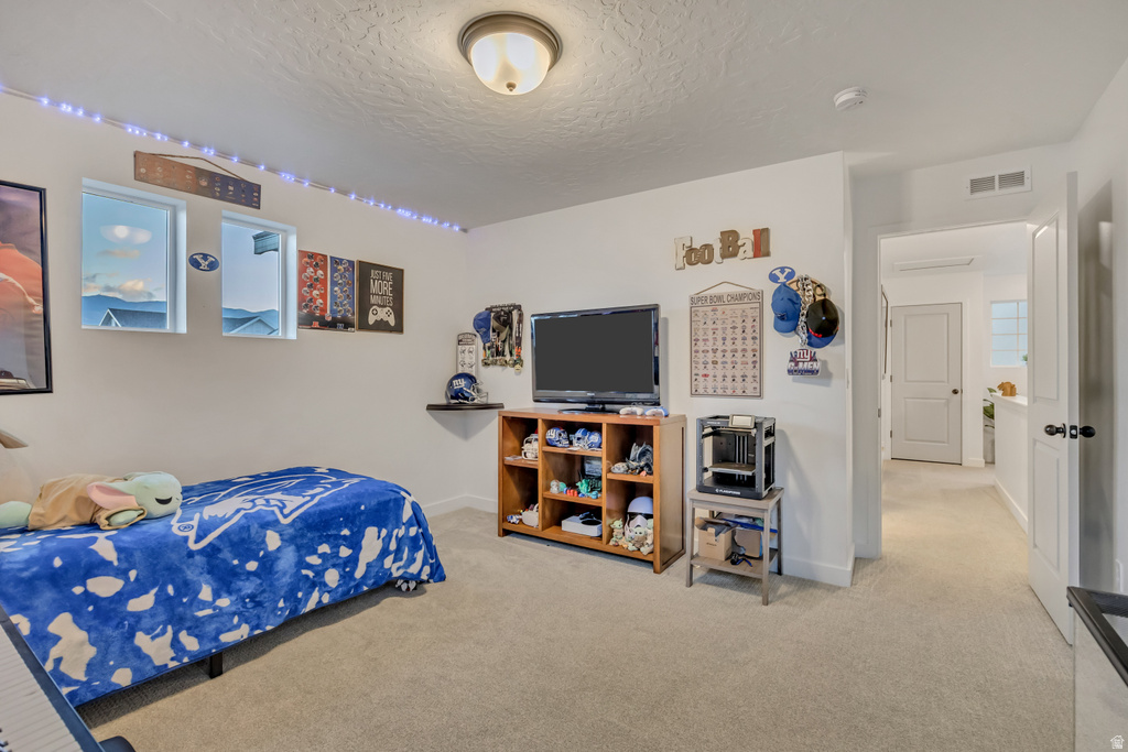 58 E INLET SPRING DR Saratoga Springs, UT 84045