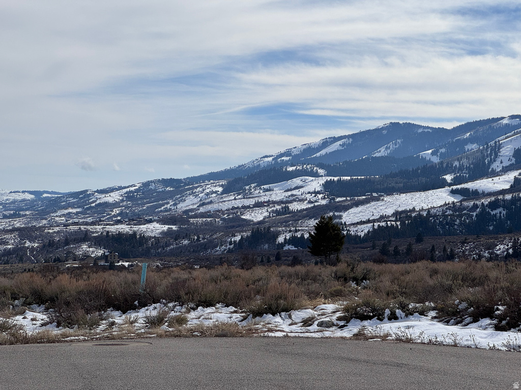 2  SUMMIT CIR Fish Haven, ID 83287