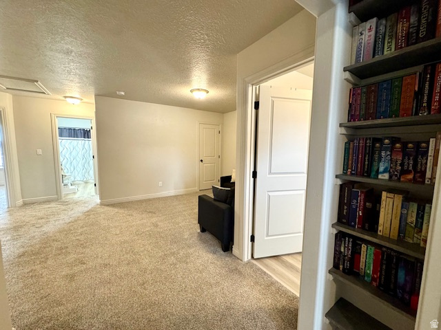 2567 E 830 N Spanish Fork, UT 84660