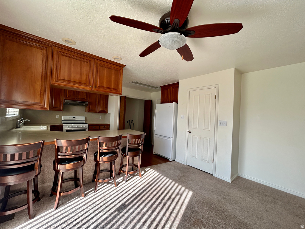 425 N HIGHLAND BLVD Brigham City, UT 84302