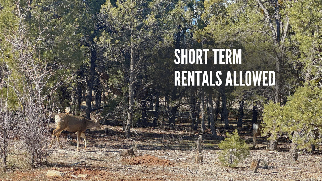 10550 W ZIONS DR. Orderville, UT 84758