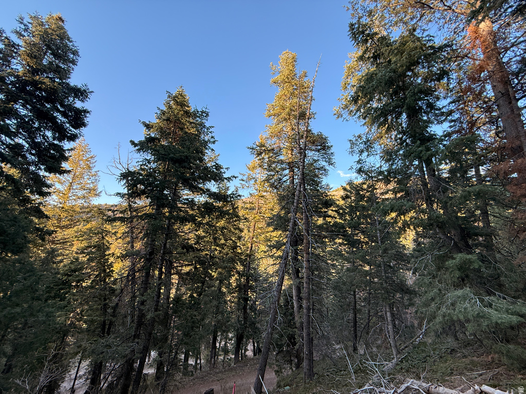 38  PINE CREEK RD Mt Pleasant, UT 84647