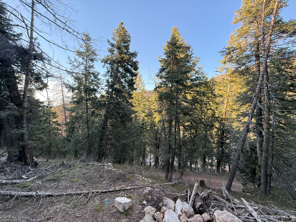 38  PINE CREEK RD Mt Pleasant, UT 84647