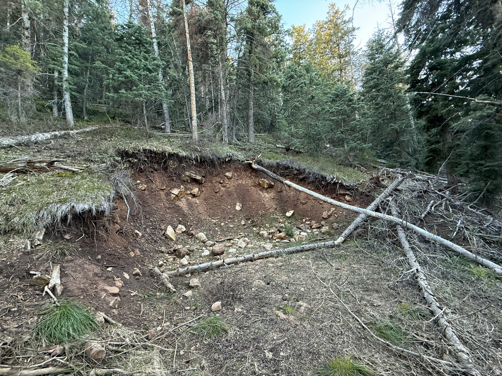 38  PINE CREEK RD Mt Pleasant, UT 84647