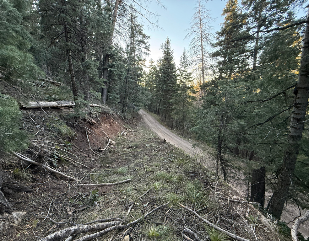 38  PINE CREEK RD Mt Pleasant, UT 84647