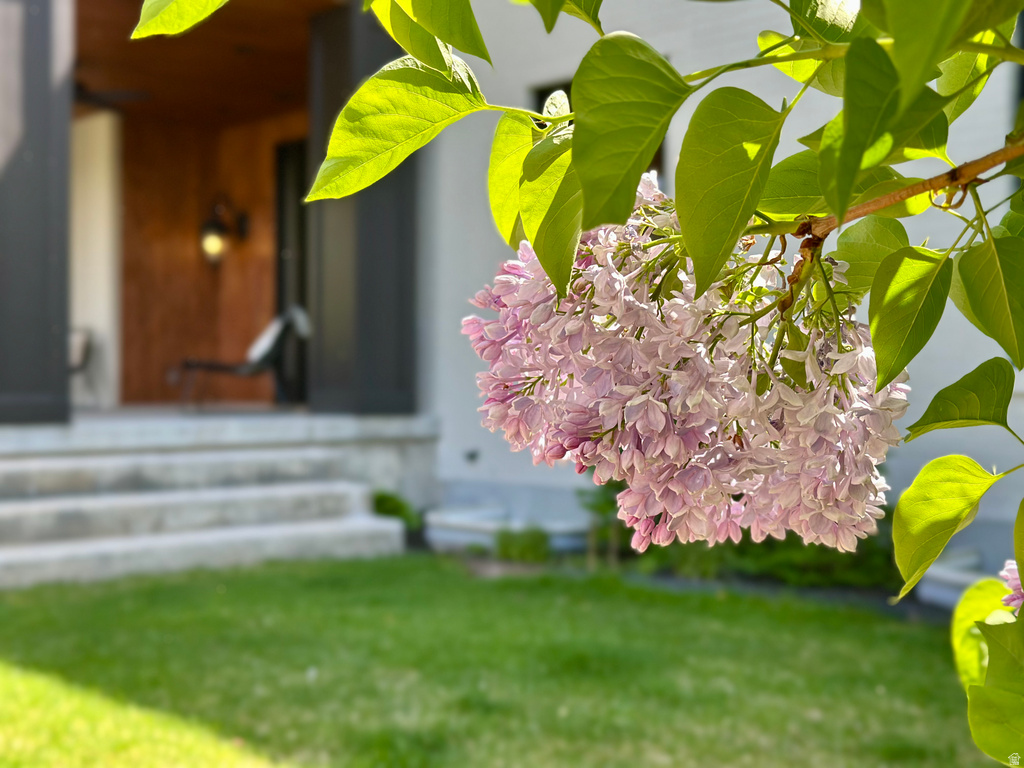 4545 S ABINADI RD Salt Lake City, UT 84124