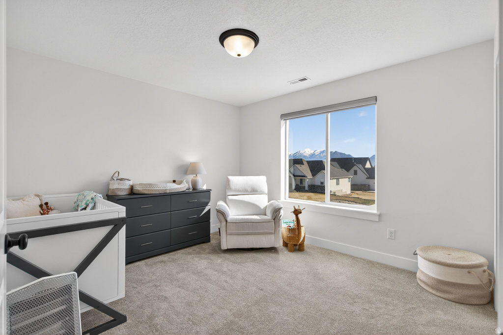 1449 N MCKENZIE WAY Saratoga Springs, UT 84045